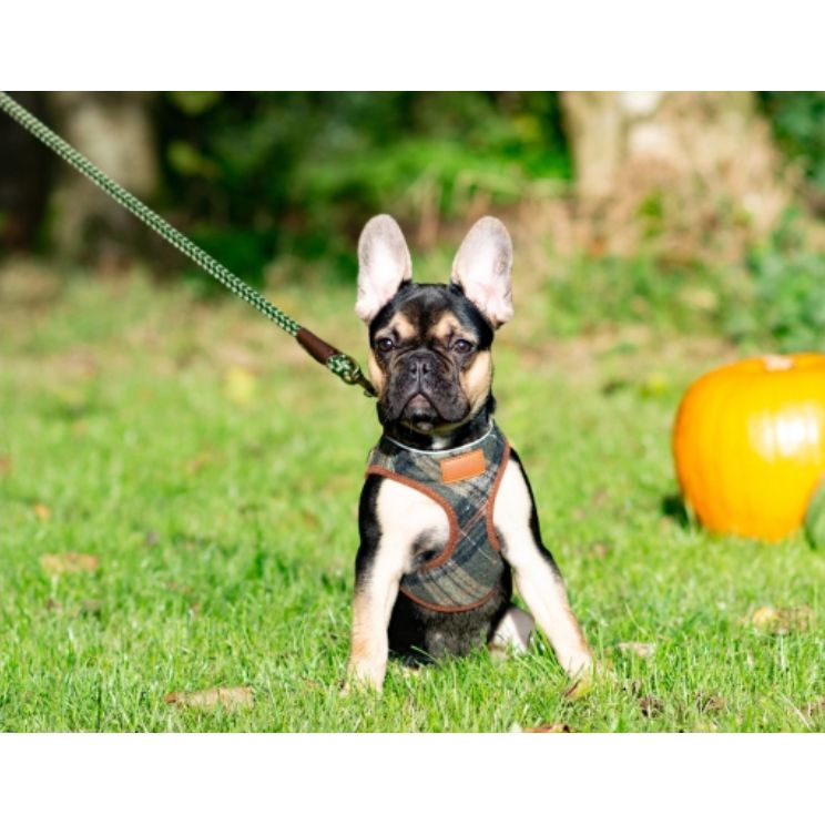 Heritage Rope Lead Green 1.07mx12mm