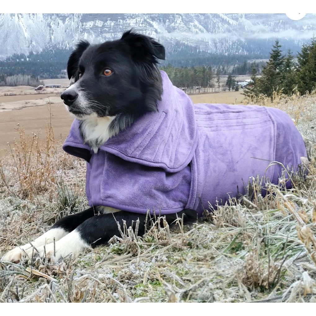 Mutt N Bailey Drying Coat Towels For Dogs Origin Pets Longton