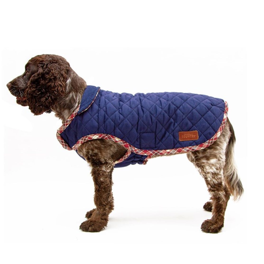 Great And Small Country Weather Resistant Jacket Plait Navy 51cm