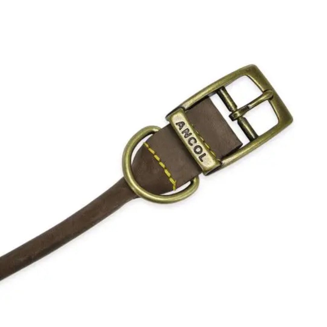 Timberwolf Leather Collar Sable 20-26cm Size 1 Ancol