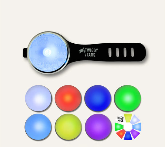 Twiggy Tags Trailfinder Light
