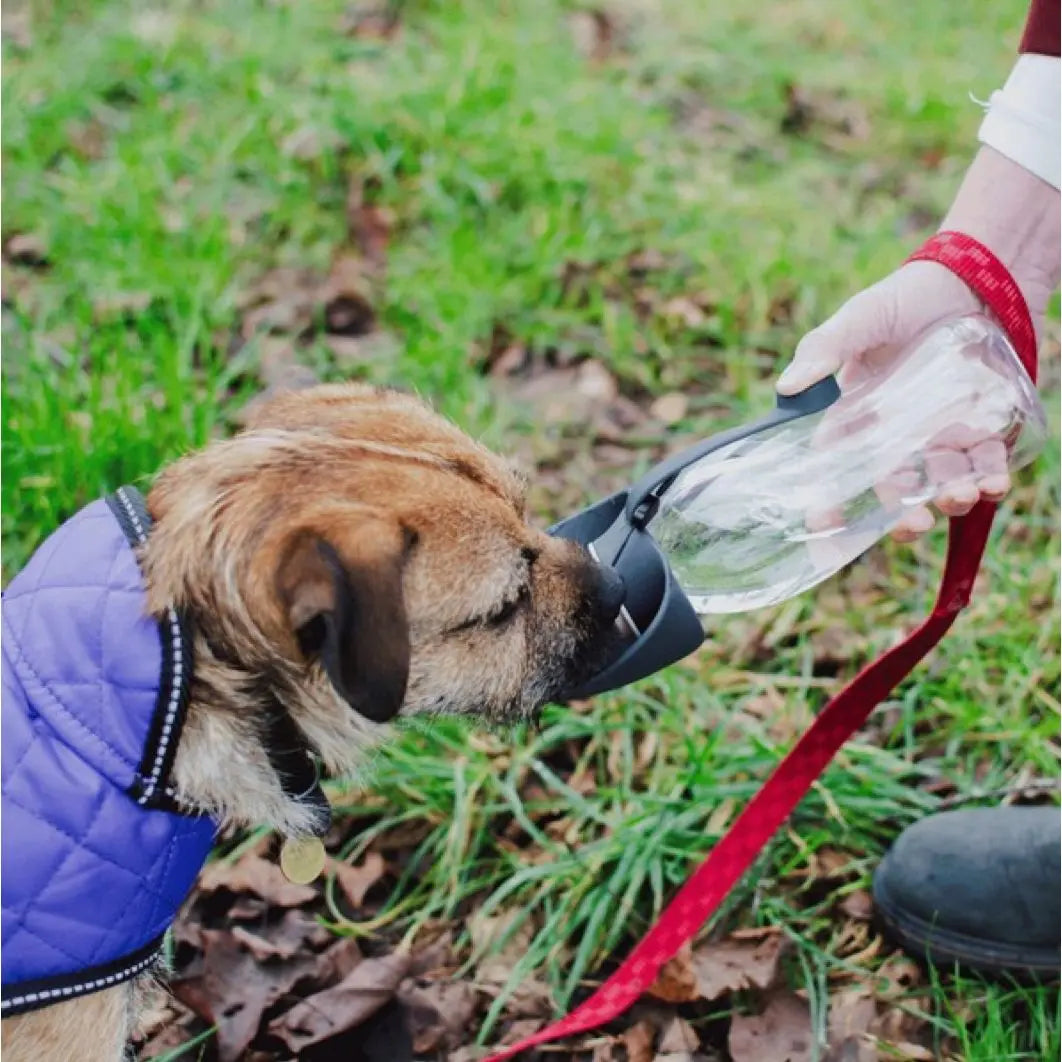 Henry Wag Water Bottle For Dogs With Grey Leaf Bowl Design Henry