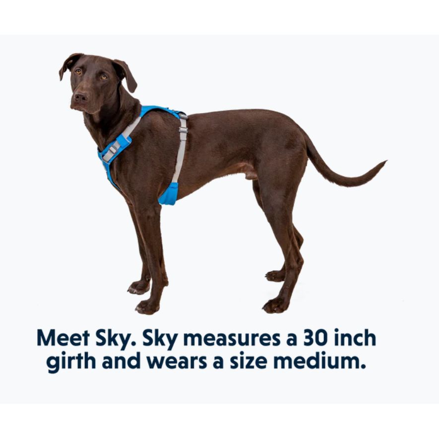 Ruffwear Hi&Light Harness Blue Dusk Small