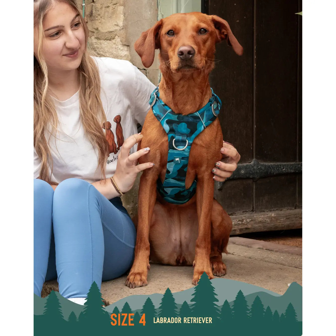 Twiggy Tags Adventure Harness Lagoon for Dogs with Adjustable Sizes and Comfortable Fit Twiggy Tags