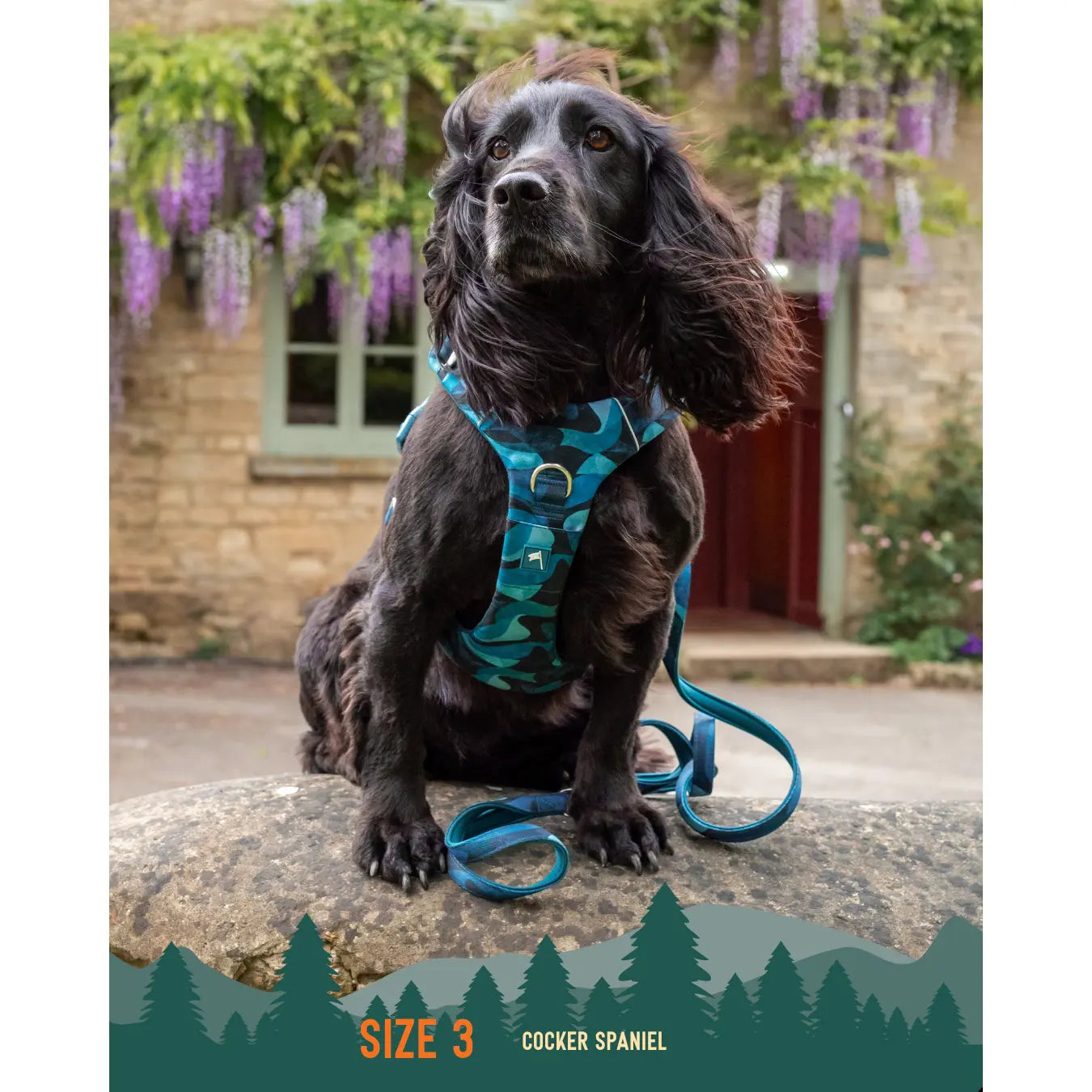 Twiggy Tags Adventure Harness Lagoon for Dogs with Adjustable Sizes and Comfortable Fit Twiggy Tags