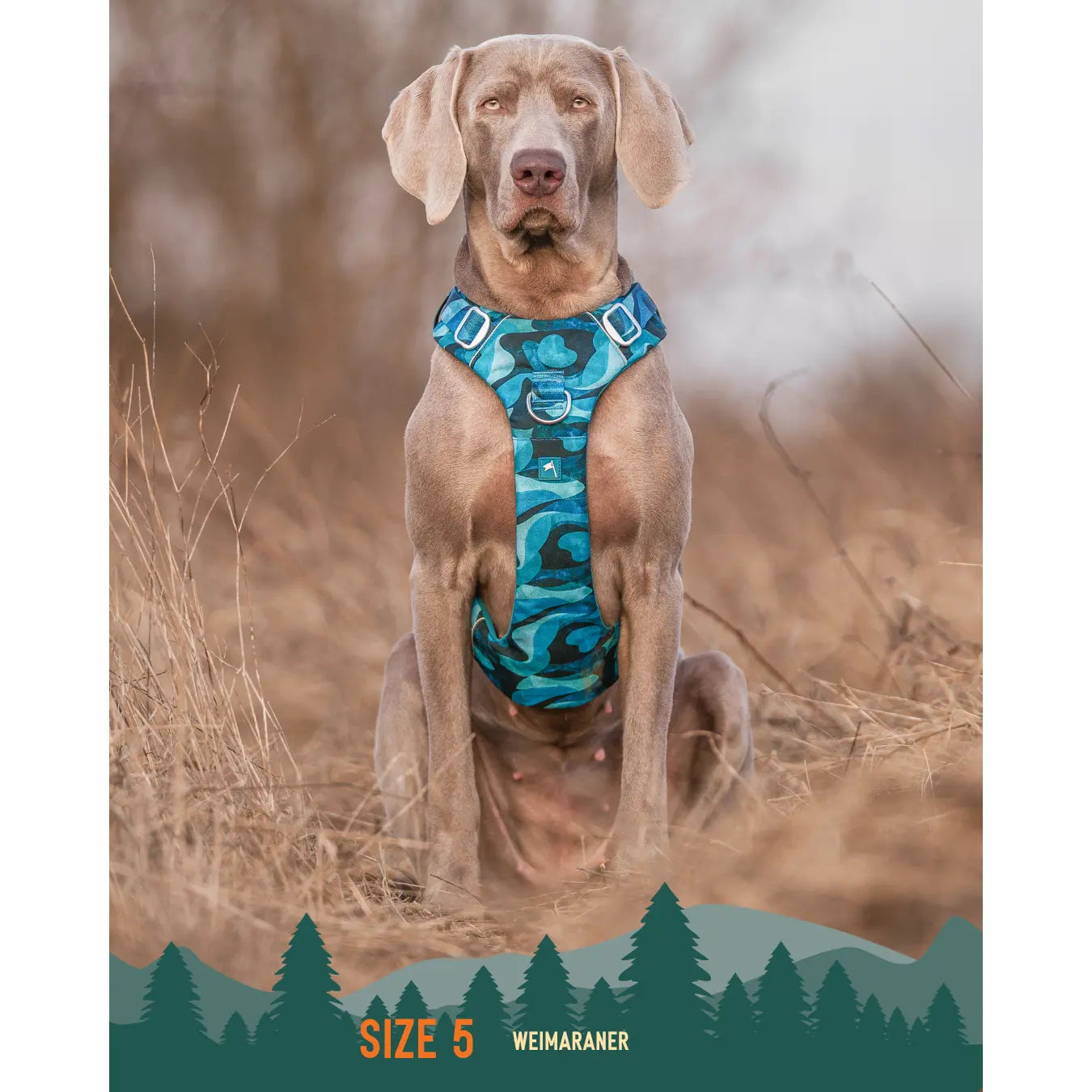 Twiggy Tags Adventure Harness Lagoon for Dogs with Adjustable Sizes and Comfortable Fit Twiggy Tags