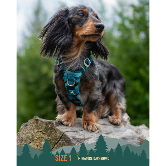 Twiggy Tags Adventure Harness Lagoon for Dogs with Adjustable Sizes and Comfortable Fit