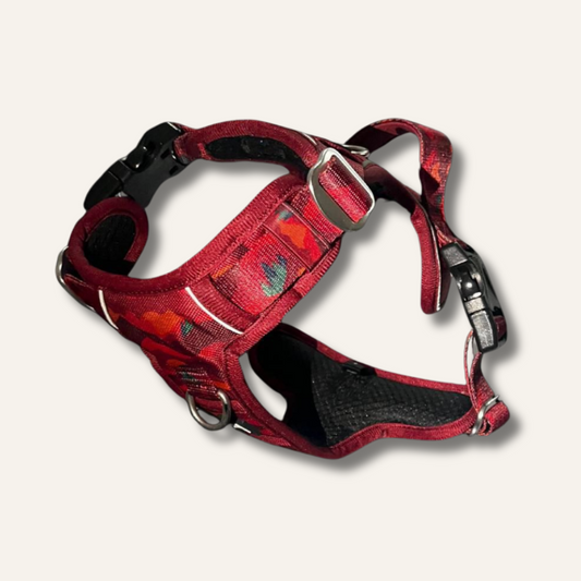 Twiggy Tags Adventure Harness - Alpenglow Edition for Outdoor Exploration and Safety