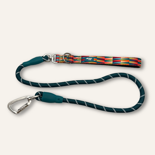 Twiggy Tags Horizon Rope Lead - Elixir