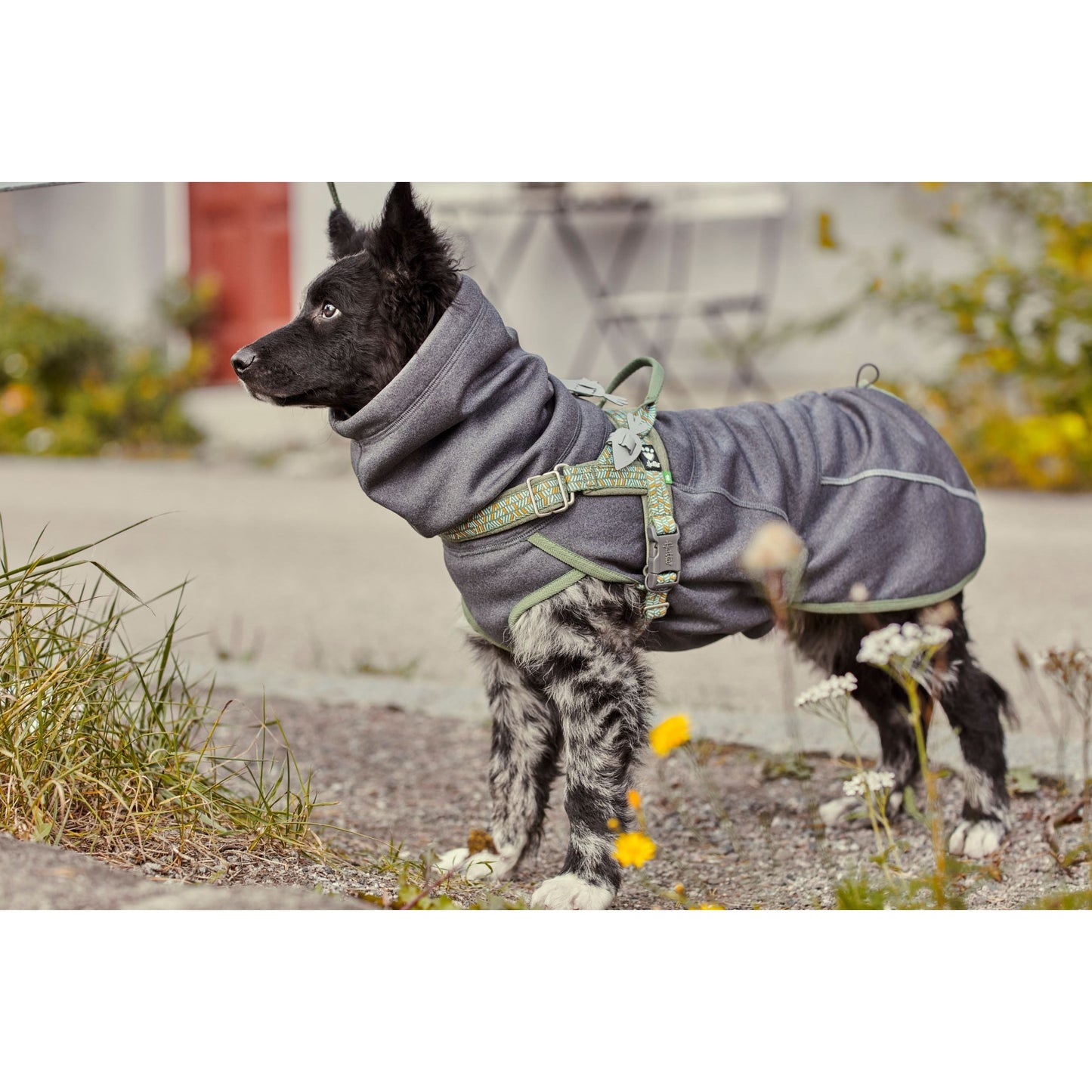 Hurtta Razzle-Dazzle Midlayer Blackberry 50cm