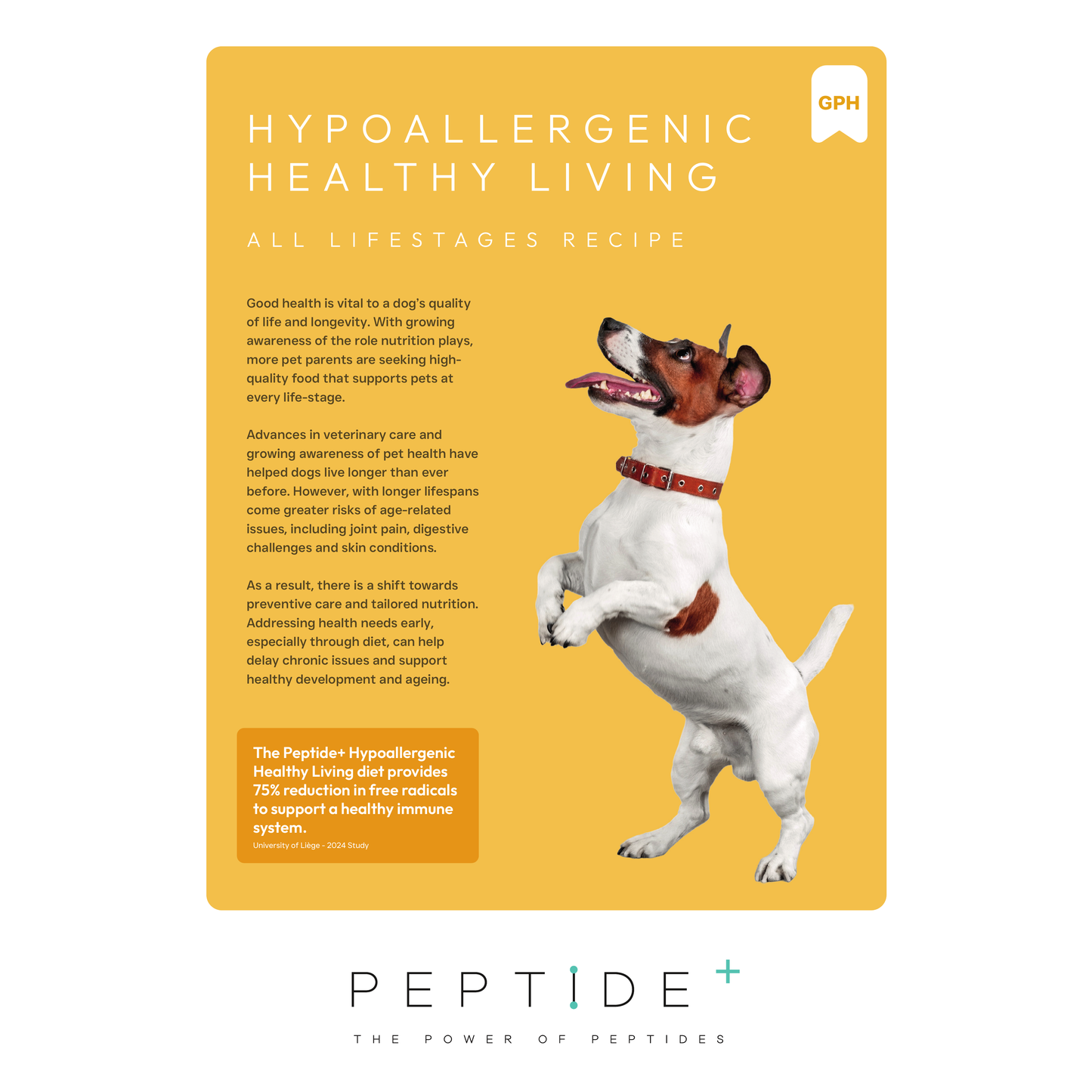 Origin Pets Grain Free Hypoallergenic Healthy Living Adult Dog Food 1.5kg Origin Pets Longton