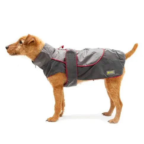 Great And Small Country Outdoor Protective Vest For Dogs Reflective Great & Small