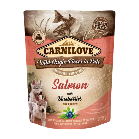 Carnilove Dog Food Pouch - Salmon with Blueberries Puppy - Origin Pets Longton