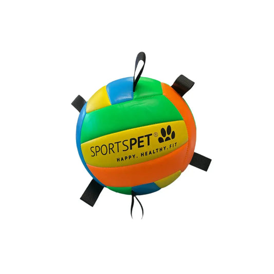 Sportspet Tab Volleyball Size 5 Sportspet
