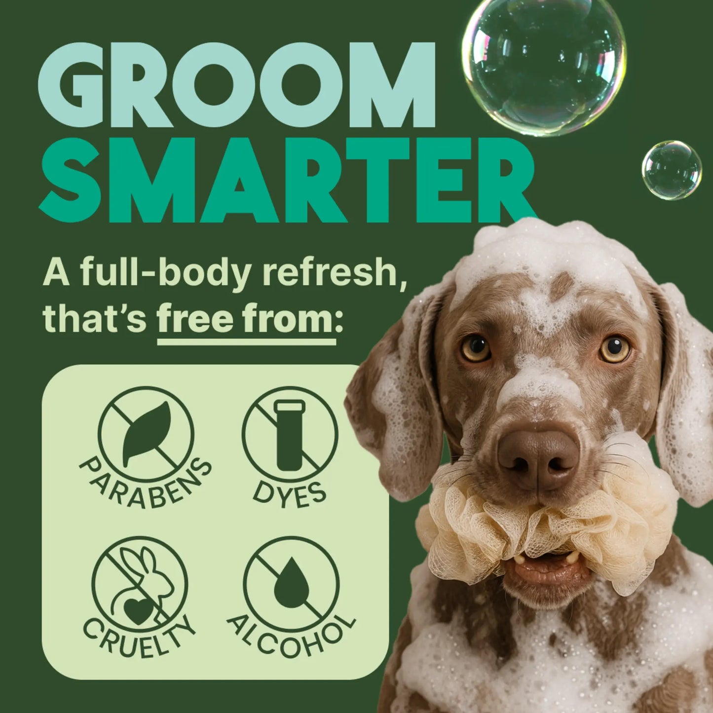 Tropiclean Oatmeal And Tea Tree Dog Shampoo 355ml Origin Pets Longton