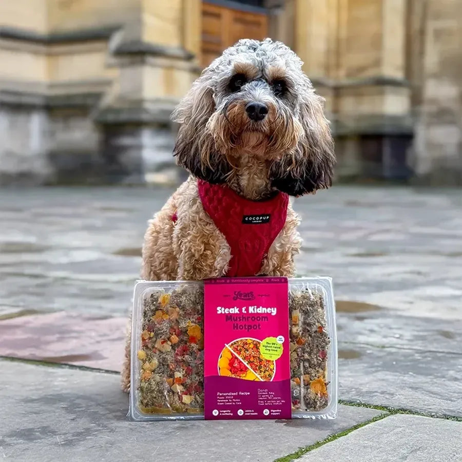 Years Steak & Kidney Mushroom Hotpot Cupboard Fresh Dog Food Years