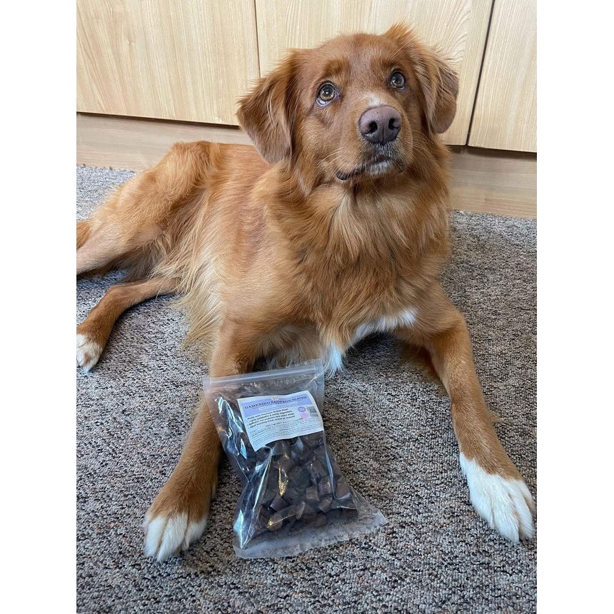 JR Pets Premium Gamebird Sausage Slices 250g Origin Pets Longton