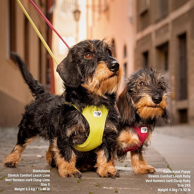 Curli Vest Step In Harness Clasp Air-Mesh Ruby 2XS Origin Pets Longton