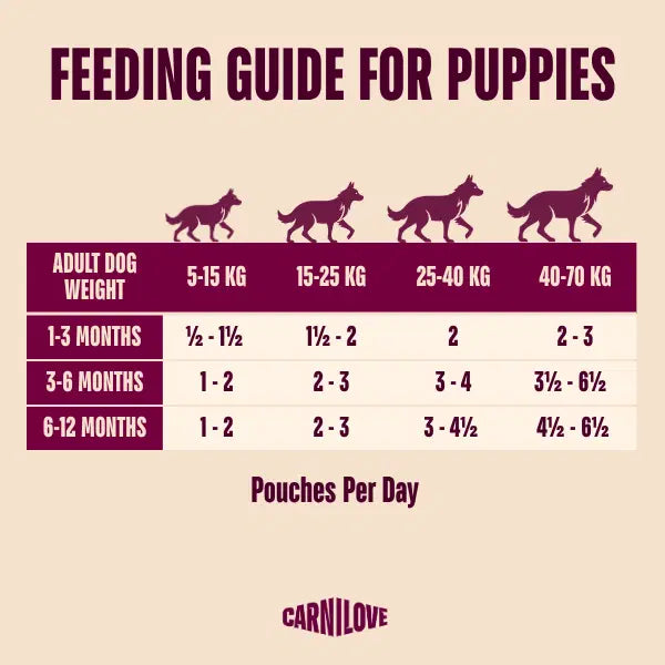 Carnilove NEW Turkey And Salmon Pate For Puppies With Blueberries 300g
