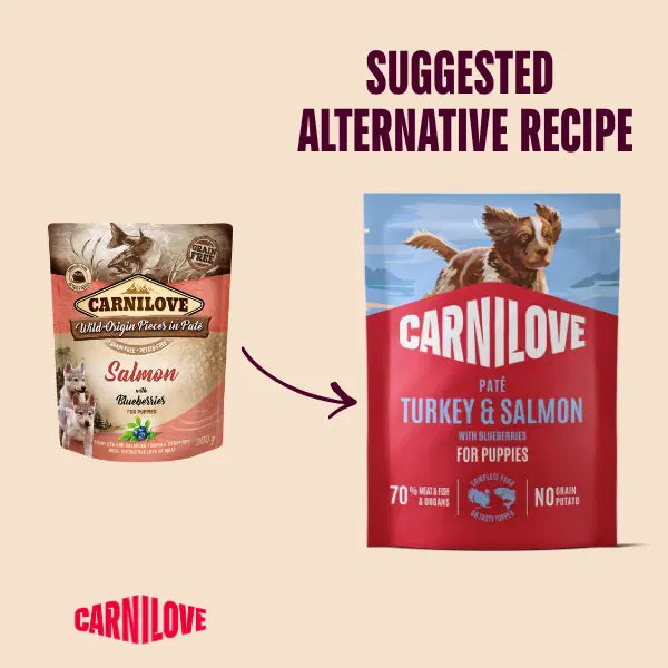 Carnilove NEW Turkey And Salmon Pate For Puppies With Blueberries 300g