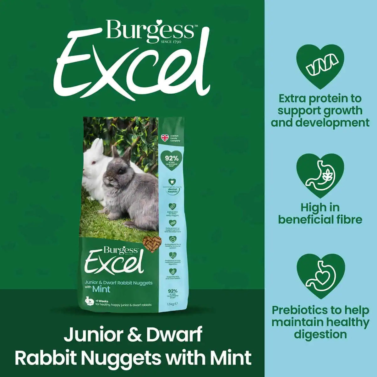 Burgess Excel Rabbit Food Junior Mint 3kg
