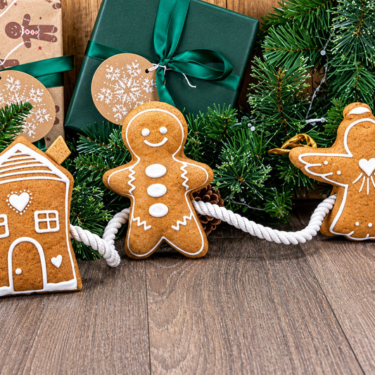 Ancol Gingerbread Rope Christmas Dog Toy