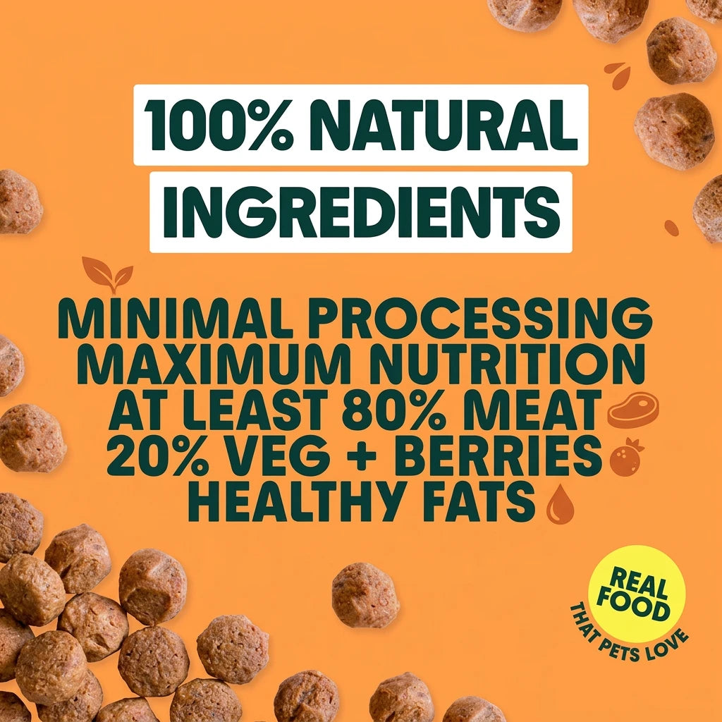 Bella + Duke Chicken Meatballs Complete Raw Dog Food 225g