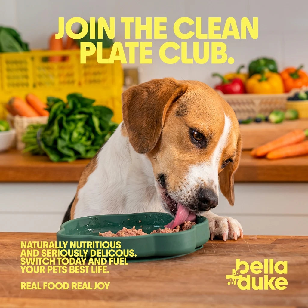 Bella + Duke Chicken Meatballs Complete Raw Dog Food 225g