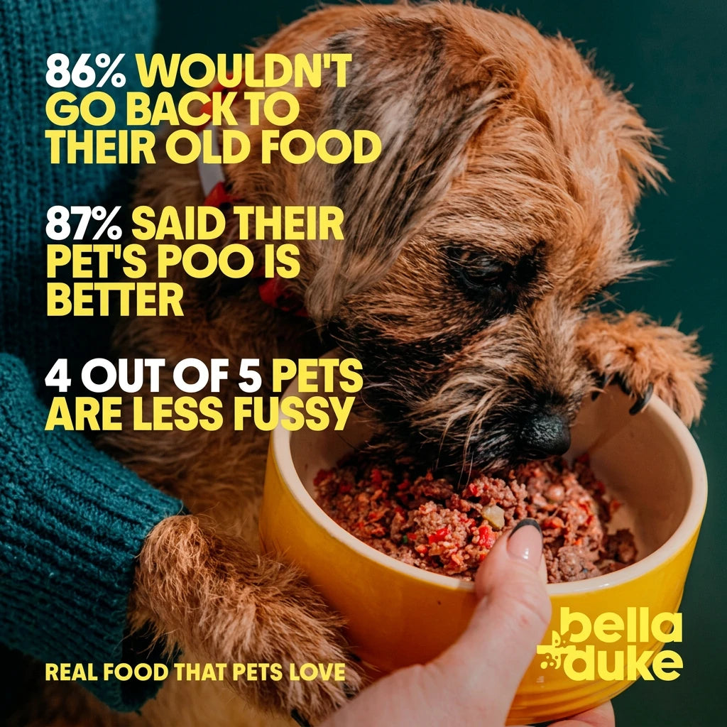 Bella + Duke Chicken Meatballs Complete Raw Dog Food 225g