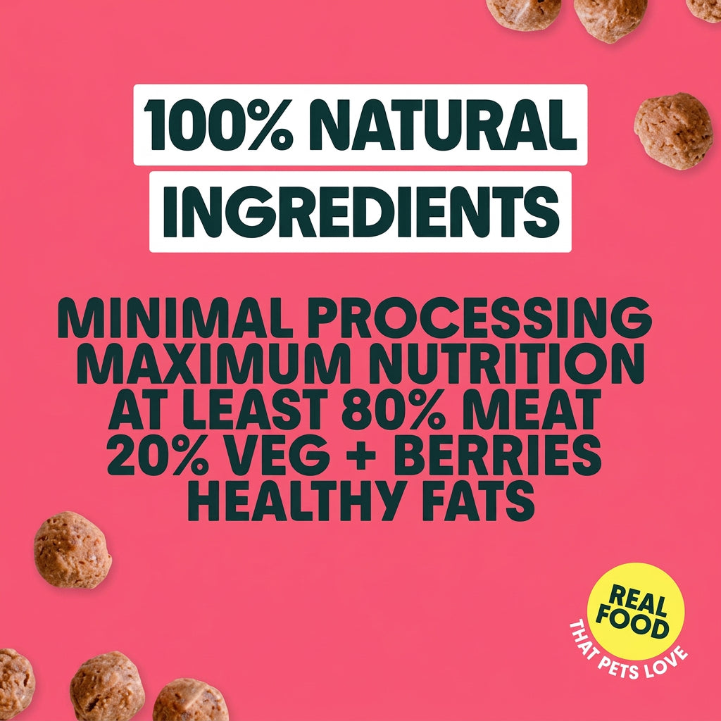 Bella + Duke Grass Fed Beef Meatballs Complete Raw Meal 225g