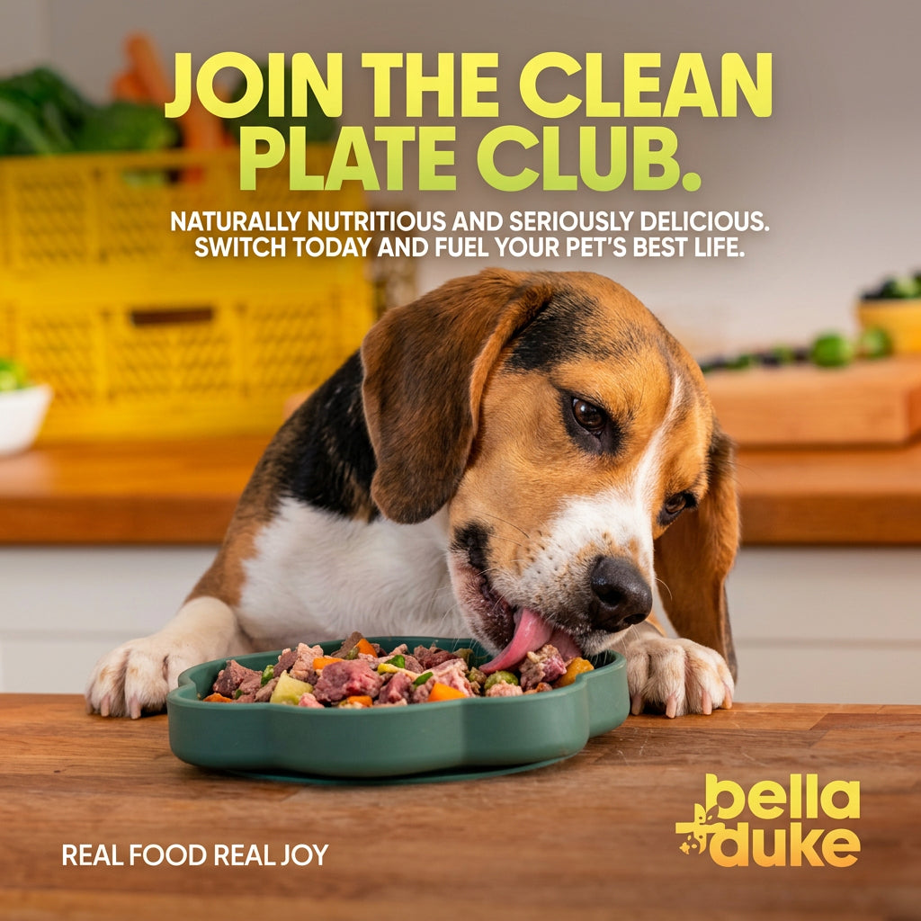 Bella + Duke Grass Fed Beef Meatballs Complete Raw Meal 225g