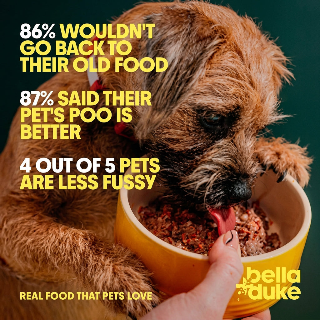 Bella + Duke Grass Fed Beef Meatballs Complete Raw Meal 225g
