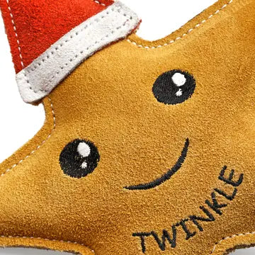 Green And Wilds Twinkle The Star Dog Toy
