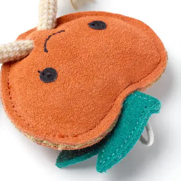 Green And Wilds Sancho The Satsuma Dog Toy
