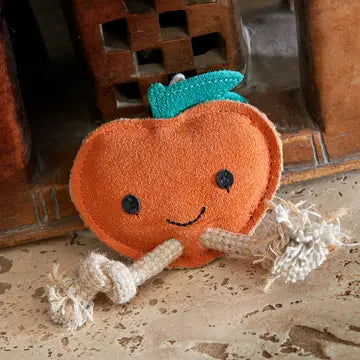Green And Wilds Sancho The Satsuma Dog Toy