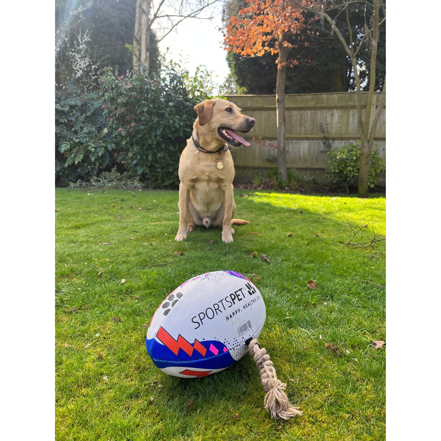 SPORTSPET Rugby Ball Dog Toy