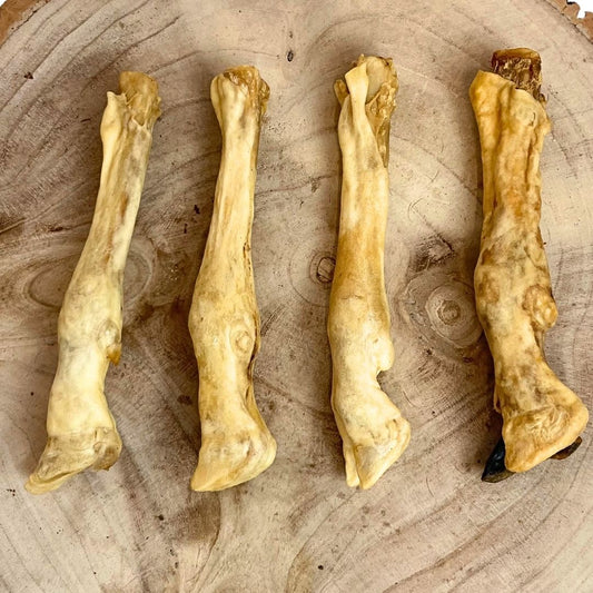 Lambs Leg - No Hair