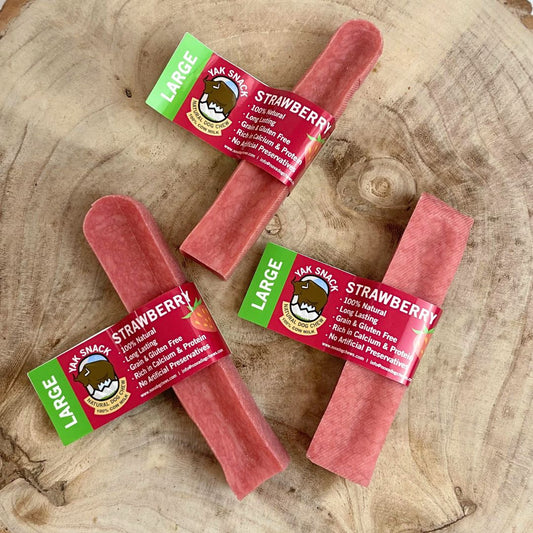 Nova Strawberry Yak Dog Treat - Large