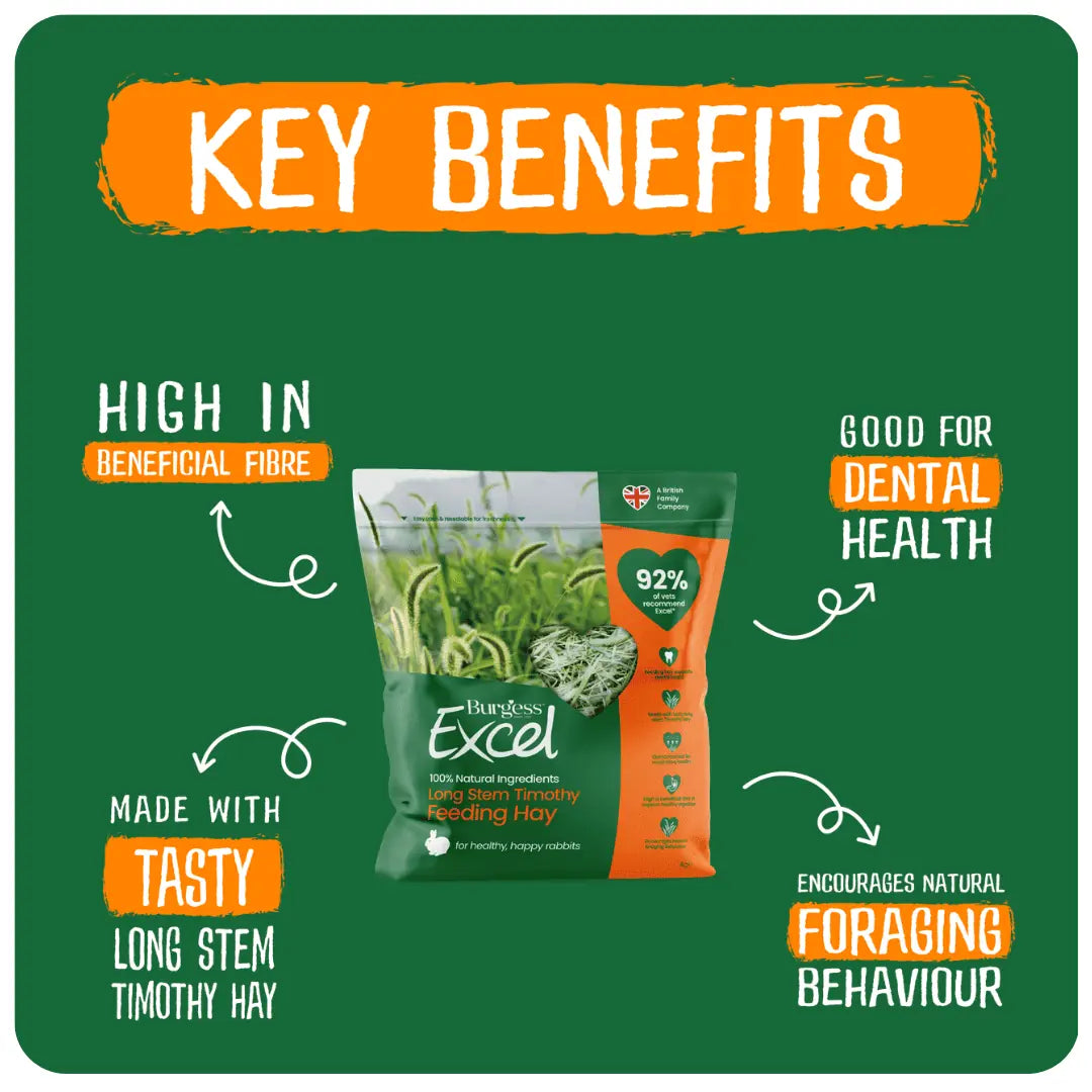 Burgess Excel Long Stem Timothy Feeding Hay