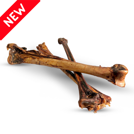 Ostrich Long Bone