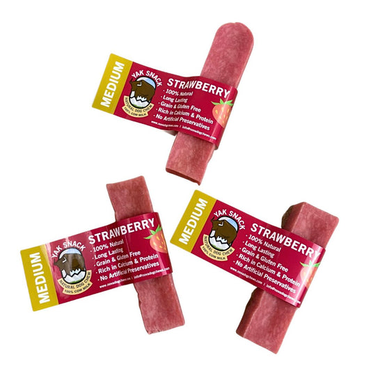 Strawberry Yak Dog Treat - Medium