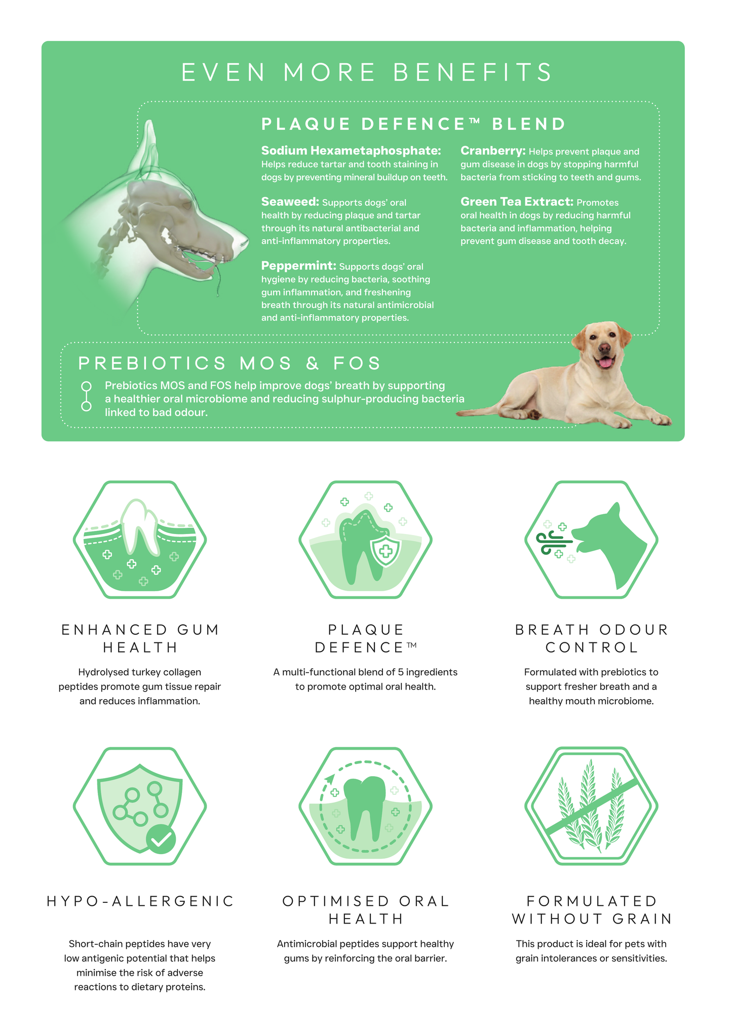 Origin Pets Grain Free Dental Care Adult Dog Food 1.5kg Origin Pets Longton