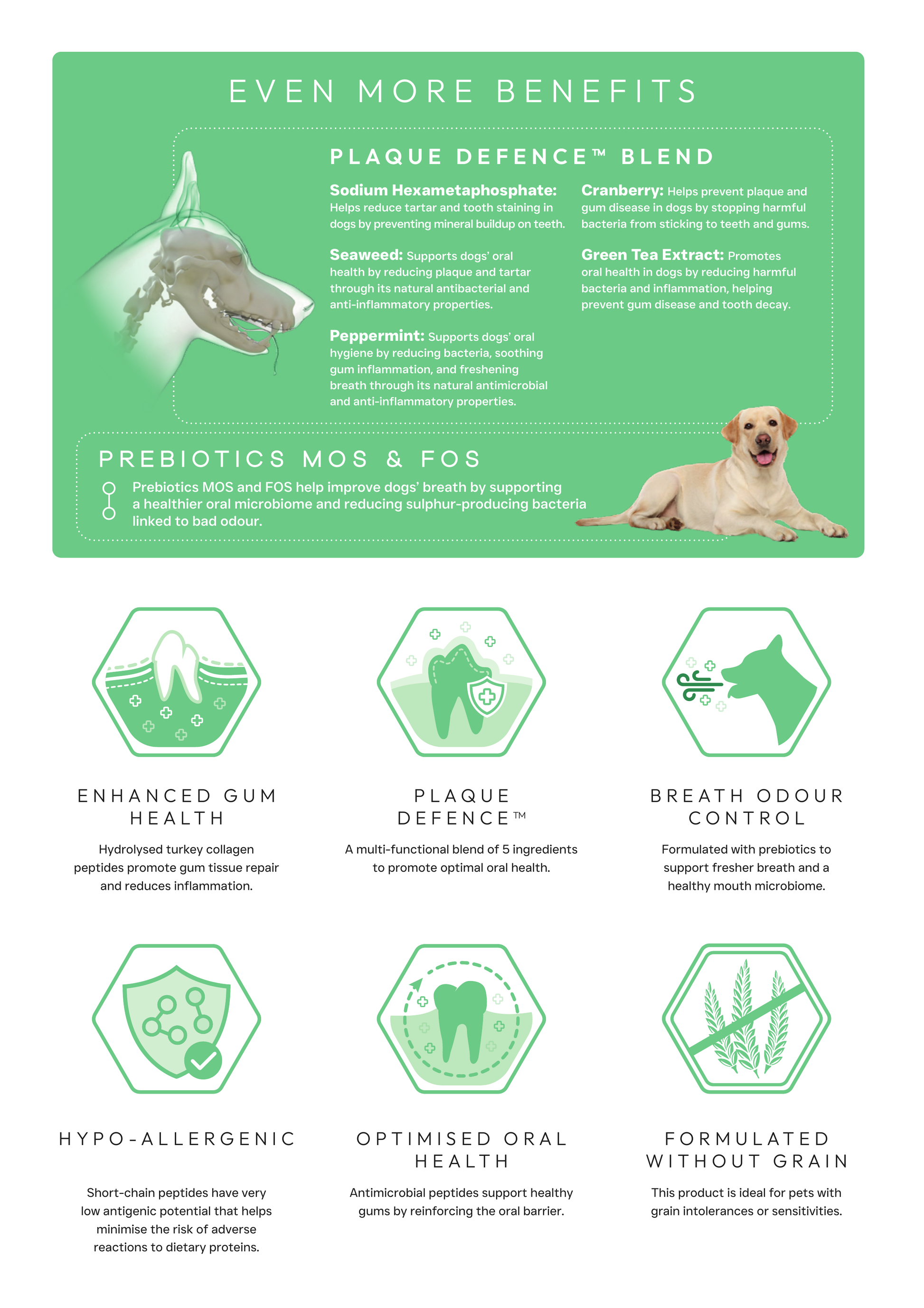 Origin Pets Grain Free Dental Care Adult Dog Food 1.5kg Origin Pets Longton