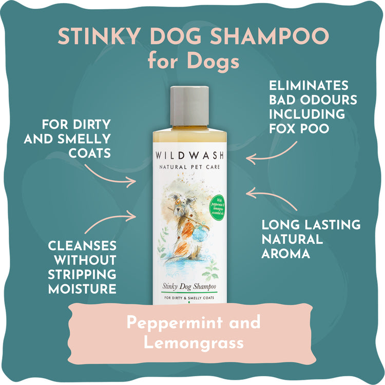 WildWash Stinky Dog Shampoo lemongrass and peppermint