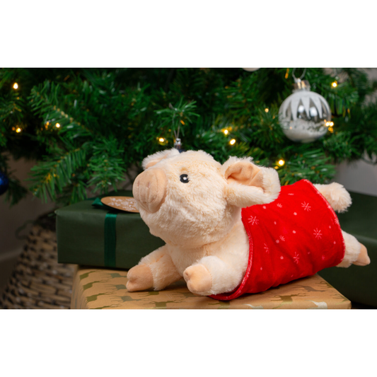 Ancol Paloma Pig in Blanket Christmas Dog Toy