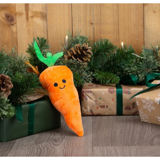 Ancol Mini Katie Carrot Christmas Dog Toy