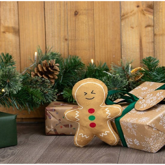 Ancol Georgia Gingerbread Christmas Toy