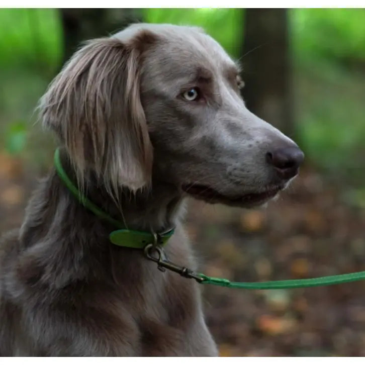 Timberwolf Leather Lead Green 1mx19mm Timberwolf