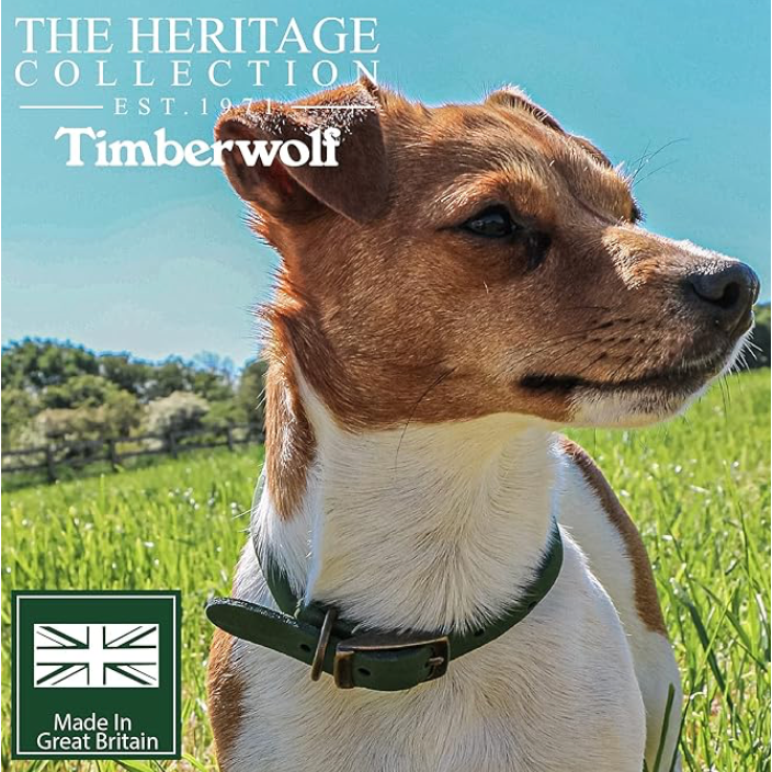 Timberwolf Leather Collar Green 39-48cm Size 5