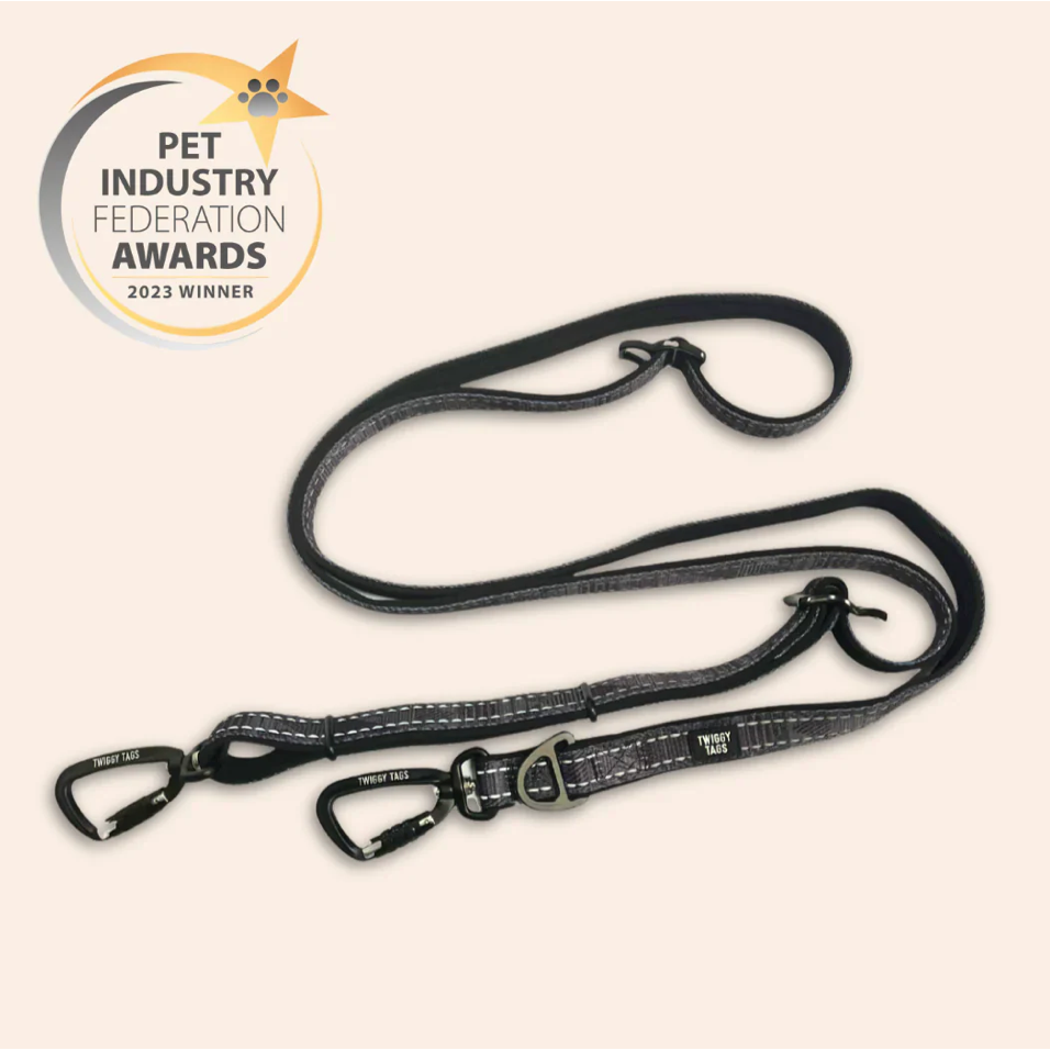 Twiggy Tags Trailfinder Multiway Lead Sierra
